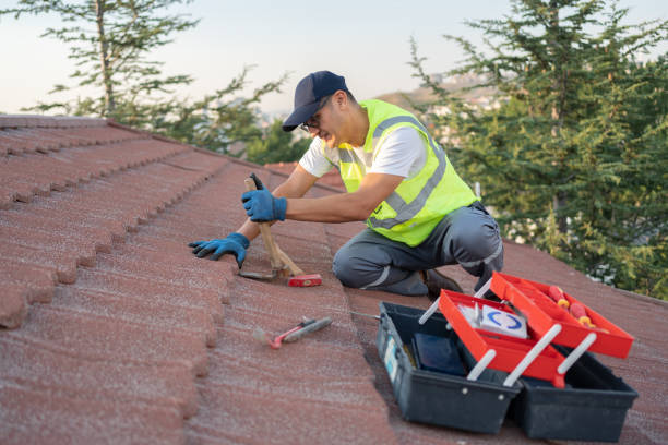 Best Storm Damage Roof Repair  in Estill Springs, TN